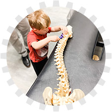 Neurological chiropractic tile