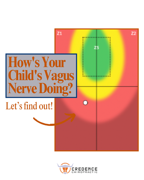 Your Guide to Finding the Right Pediatric Chiropractor