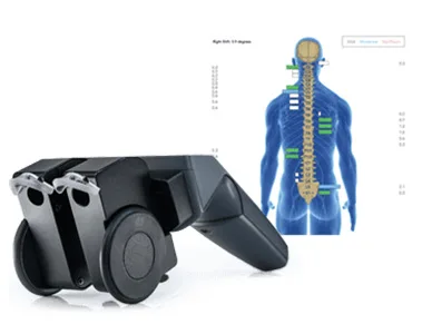 Whole Family Chiro